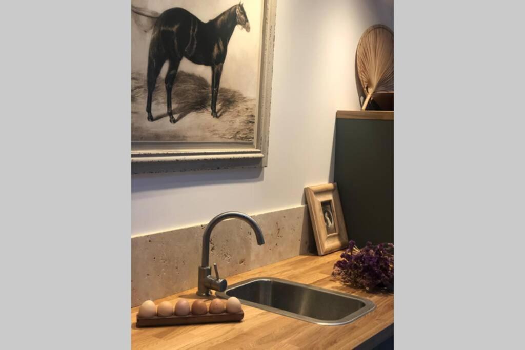 Cottage Normand Avec Sa Grande Piscine Chauffee Toute L Annee Sur Parc Arbore Et Clos En Plein Coeur De La Campagne Adapte Aux Kids Et Dog Friendly Saint-Antonin-de-Sommaire Buitenkant foto