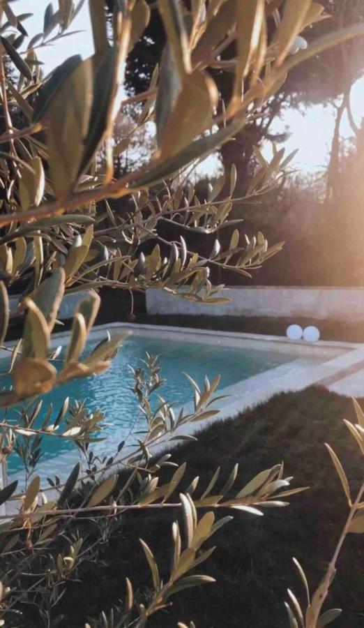 Cottage Normand Avec Sa Grande Piscine Chauffee Toute L Annee Sur Parc Arbore Et Clos En Plein Coeur De La Campagne Adapte Aux Kids Et Dog Friendly Saint-Antonin-de-Sommaire Buitenkant foto