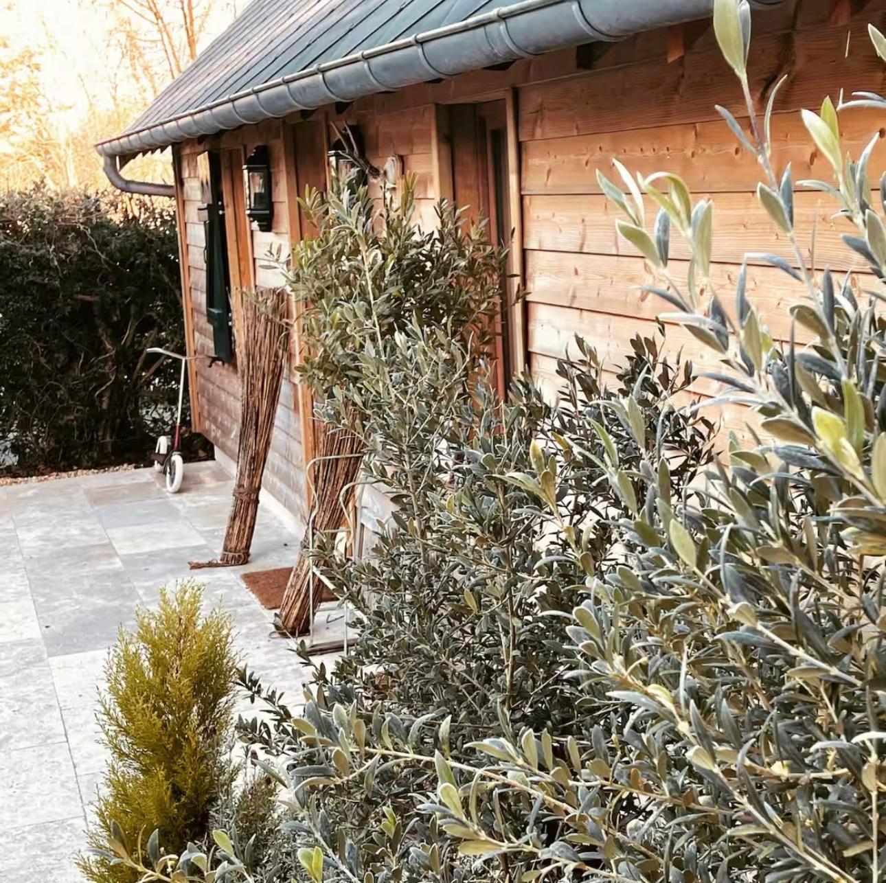 Cottage Normand Avec Sa Grande Piscine Chauffee Toute L Annee Sur Parc Arbore Et Clos En Plein Coeur De La Campagne Adapte Aux Kids Et Dog Friendly Saint-Antonin-de-Sommaire Buitenkant foto
